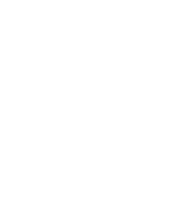 Privacy Icon